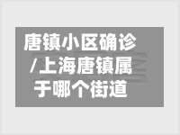 唐镇小区确诊/上海唐镇属于哪个街道-第2张图片