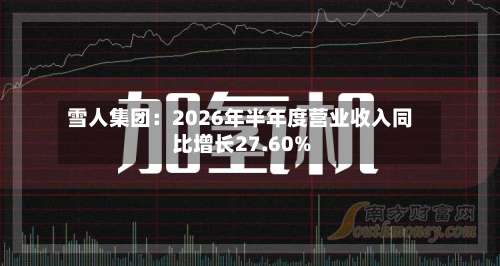 雪人集团:2026年半年度营业收入同比增长27.60%-第3张图片
