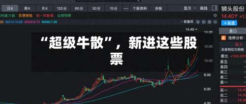 “超级牛散	”，新进这些股票-第3张图片
