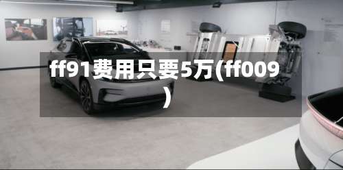 ff91费用只要5万(ff009)-第2张图片