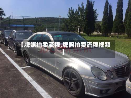 【牌照拍卖流程,牌照拍卖流程视频】