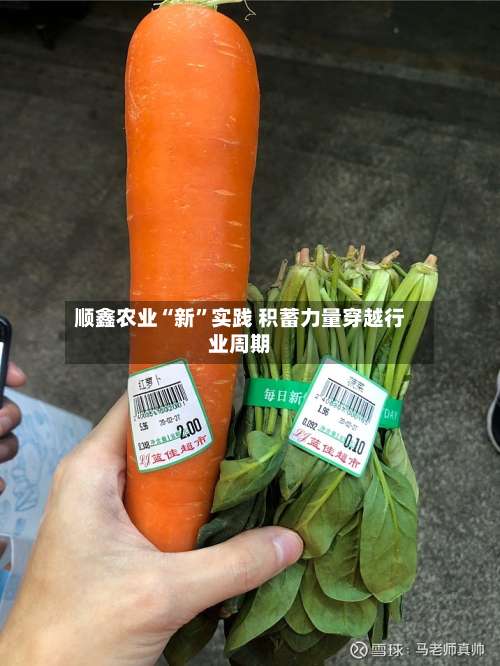 顺鑫农业“新”实践 积蓄力量穿越行业周期-第2张图片
