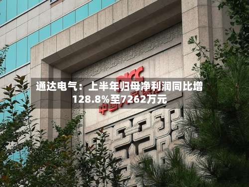 通达电气：上半年归母净利润同比增128.8%至7262万元-第1张图片