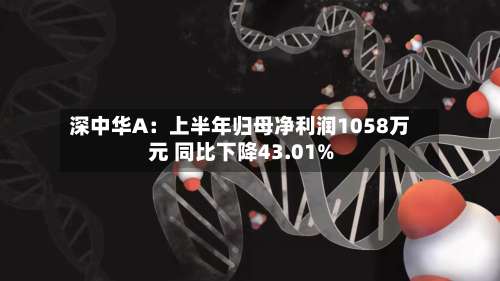 深中华A：上半年归母净利润1058万元 同比下降43.01%-第2张图片