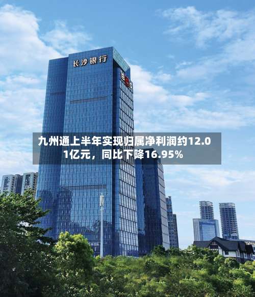 九州通上半年实现归属净利润约12.01亿元，同比下降16.95%-第1张图片