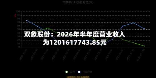 双象股份：2026年半年度营业收入为1201617743.85元-第1张图片