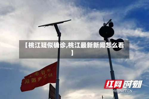 【桃江疑似确诊,桃江最新新闻怎么看】-第2张图片