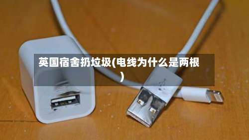 英国宿舍扔垃圾(电线为什么是两根)-第2张图片
