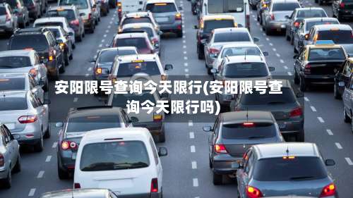 安阳限号查询今天限行(安阳限号查询今天限行吗)-第2张图片