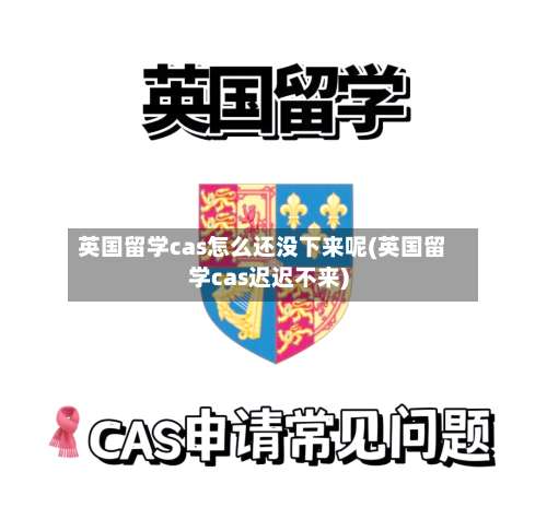 英国留学cas怎么还没下来呢(英国留学cas迟迟不来)