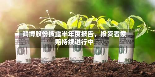 鸿博股份披露半年度报告，投资者索赔持续进行中-第3张图片