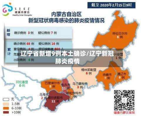 辽宁省新增9例本土确诊/辽宁新冠肺炎疫情-第3张图片