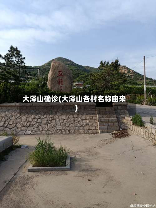 大泽山确诊(大泽山各村名称由来)