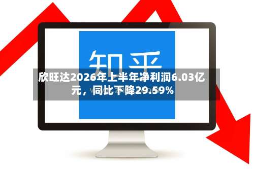 欣旺达2026年上半年净利润6.03亿元，同比下降29.59%