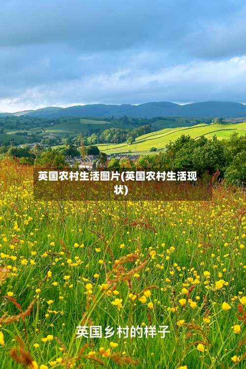 英国农村生活图片(英国农村生活现状)