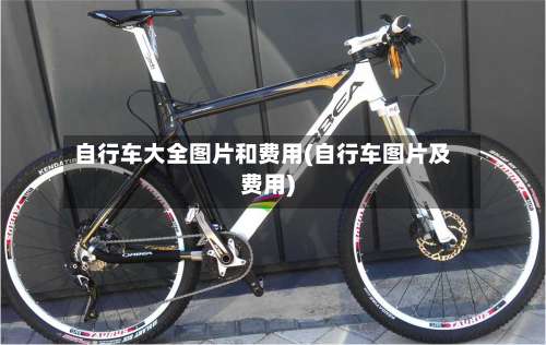 自行车大全图片和费用(自行车图片及费用)-第2张图片