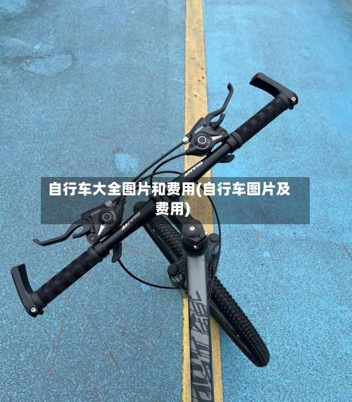 自行车大全图片和费用(自行车图片及费用)