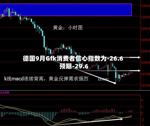 德国9月Gfk消费者信心指数为-26.6 预期-29.6-第2张图片