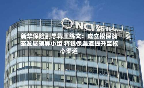 新华保险副总裁王练文：成立银保战略发展领导小组 将银保渠道提升至核心渠道-第2张图片