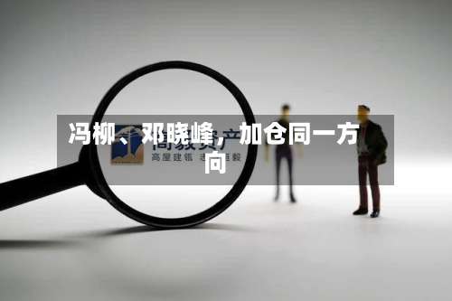 冯柳、邓晓峰，加仓同一方向