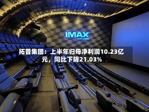 拓普集团：上半年归母净利润10.23亿元，同比下降21.03%-第2张图片