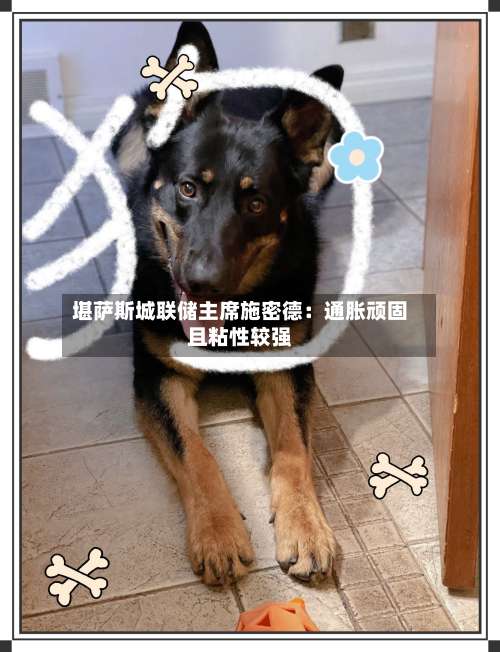 堪萨斯城联储主席施密德：通胀顽固且粘性较强