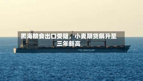 黑海粮食出口受阻，小麦期货飙升至三年新高-第3张图片