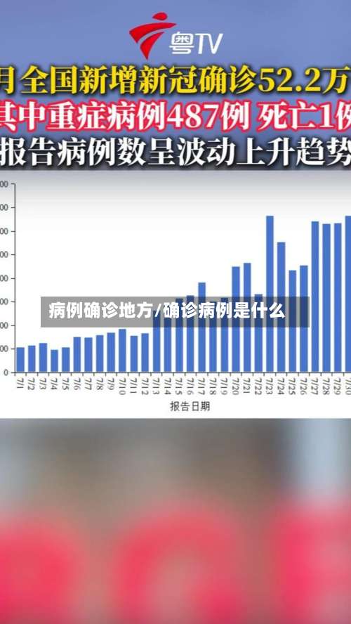 病例确诊地方/确诊病例是什么