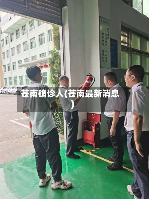 苍南确诊人(苍南最新消息)-第2张图片