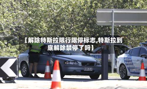 【解除特斯拉限行限停标志,特斯拉到底解除禁停了吗】-第2张图片