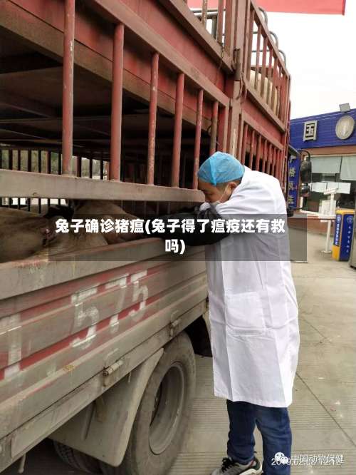 兔子确诊猪瘟(兔子得了瘟疫还有救吗)
