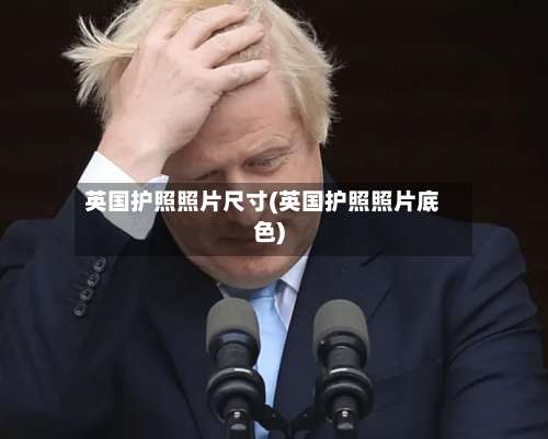 英国护照照片尺寸(英国护照照片底色)-第2张图片