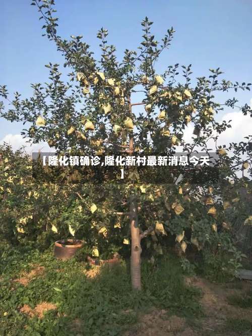 【隆化镇确诊,隆化新村最新消息今天】-第2张图片