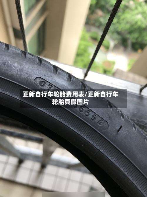 正新自行车轮胎费用表/正新自行车轮胎真假图片