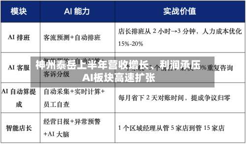 神州泰岳上半年营收增长、利润承压 AI板块高速扩张-第3张图片