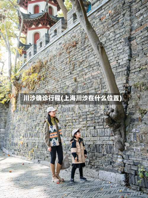 川沙确诊行程(上海川沙在什么位置)-第2张图片