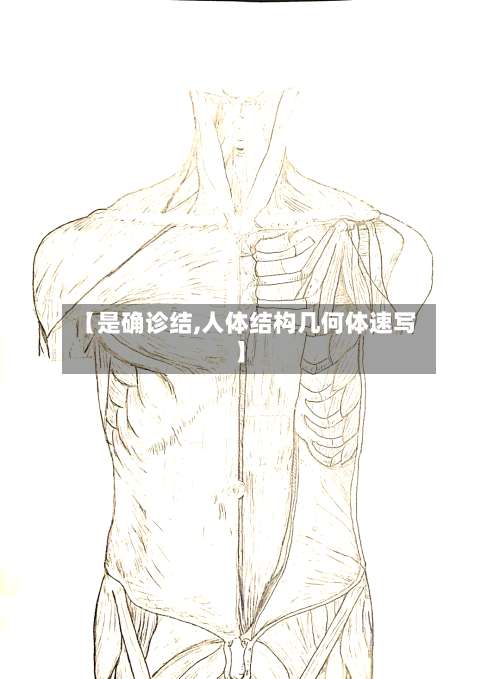 【是确诊结,人体结构几何体速写】