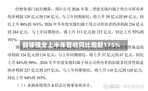赣锋锂业上半年营收同比增超175%-第2张图片