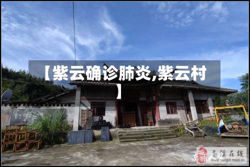【紫云确诊肺炎,紫云村】