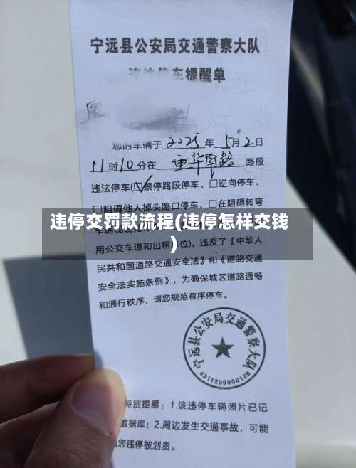 违停交罚款流程(违停怎样交钱)