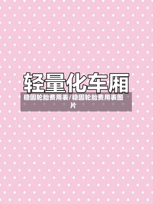 稳固轮胎费用表/稳固轮胎费用表图片-第3张图片