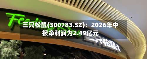 三只松鼠(300783.SZ):2026年中报净利润为2.49亿元-第3张图片