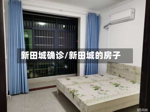 新田城确诊/新田城的房子-第2张图片
