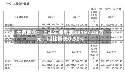 大商股份：上半年净利润38497.08万元	，同比增长0.32%-第2张图片