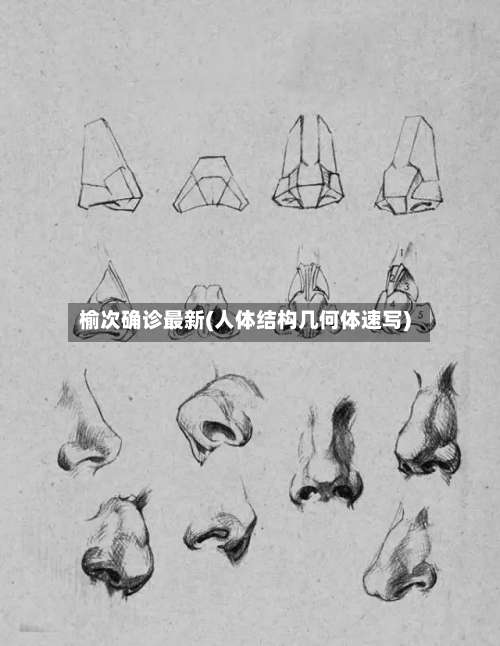 榆次确诊最新(人体结构几何体速写)