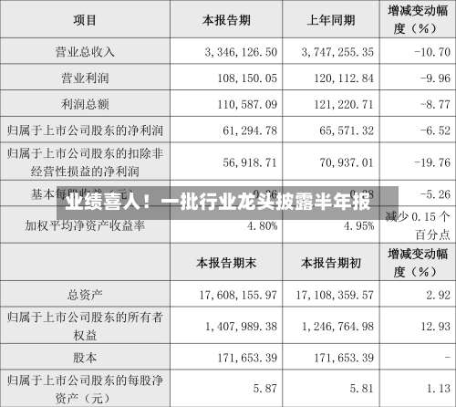业绩喜人！一批行业龙头披露半年报-第1张图片