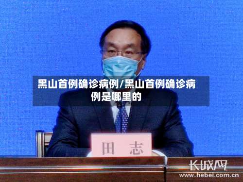黑山首例确诊病例/黑山首例确诊病例是哪里的-第2张图片