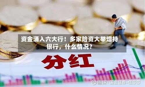 资金涌入六大行！多家险资大举增持银行，什么情况？-第2张图片