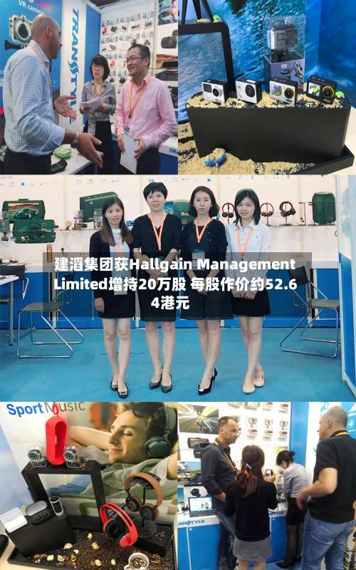 建滔集团获Hallgain Management Limited增持20万股 每股作价约52.64港元-第2张图片