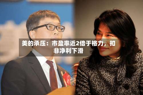 美的承压：市盈率近2倍于格力，扣非净利下滑-第3张图片
